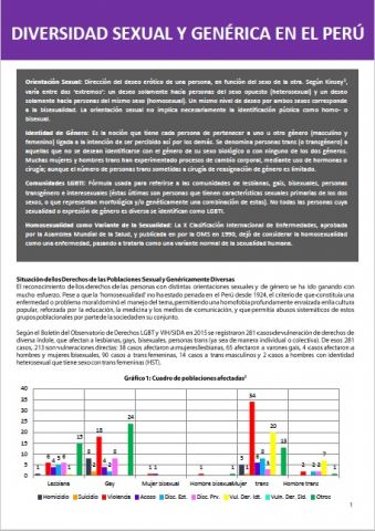 Diversidad Sexual y Genérica en el Perú.